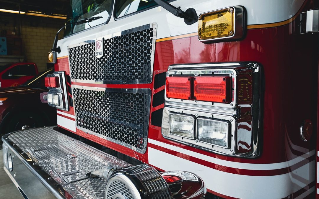 Evakuasi Ular di Jalan Protokol