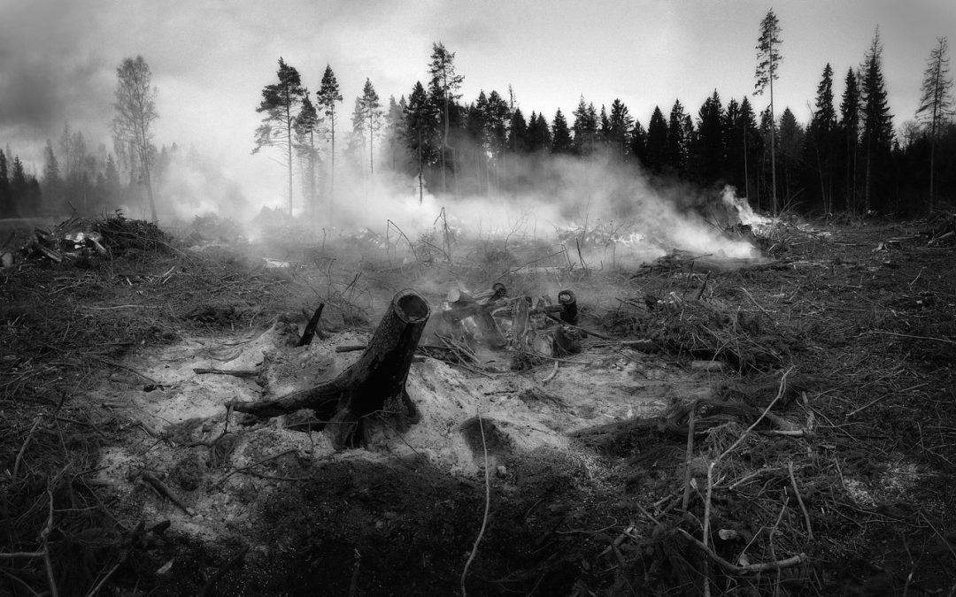 Simulasi Bencana di Pelabuhan